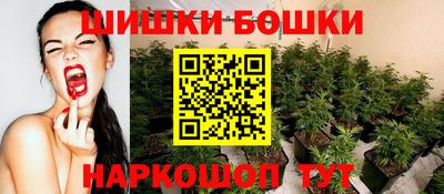 спиды Обь