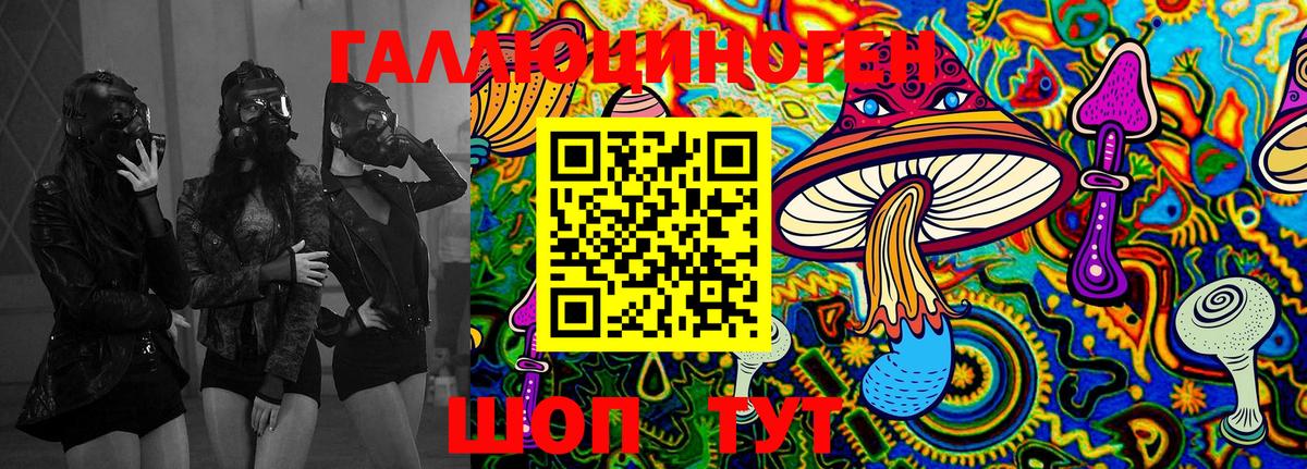 Псилоцибиновые грибы Psilocybine cubensis Саратов